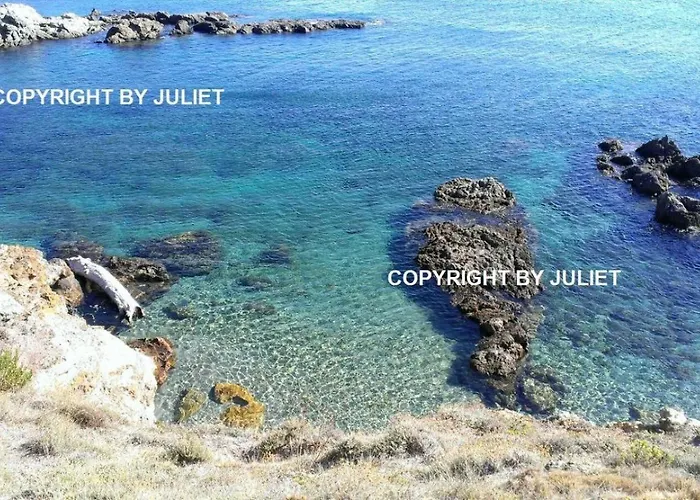Juliet Levanto