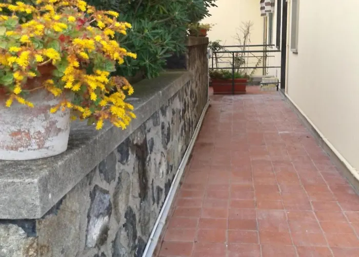Juliet * Levanto